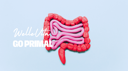 Ontdek de Verbazingwekkende Voordelen van Probiotica voor je Gezondheid - Welle Vita