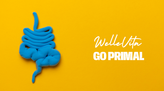 Versterk je Spijsvertering met Probiotica: 10 Voordelen voor een Gezonde Darmflora - Welle Vita