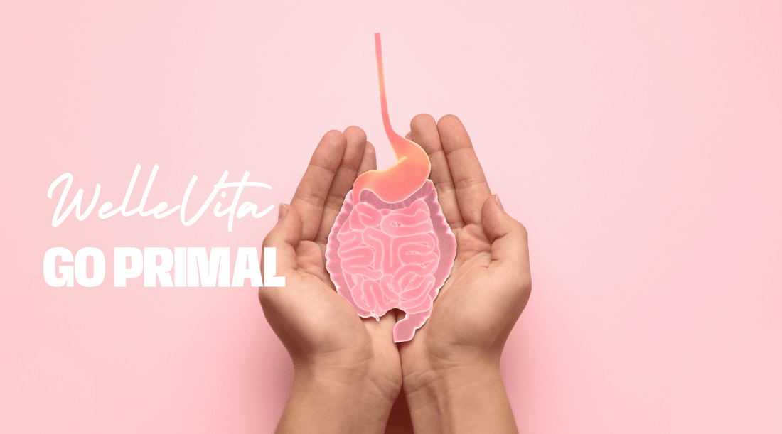 Waarom Prebiotica Essentieel Zijn voor Je Darmgezondheid - Welle Vita