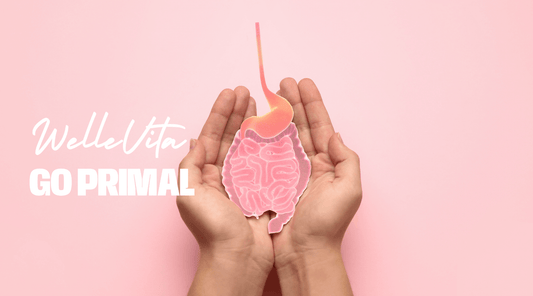 Waarom Prebiotica Essentieel Zijn voor Je Darmgezondheid - Welle Vita