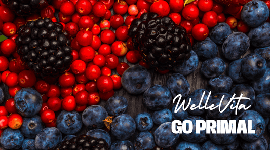 Bescherm Je Cellen met Resveratrol: Een Krachtige Antioxidant voor Optimale Gezondheid