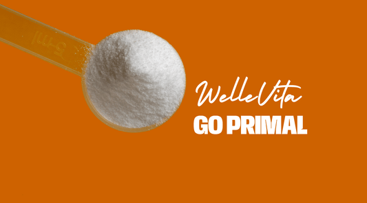 Creatine voor Beginners: Wat je Moet Weten | WelleVita | GoPrimal