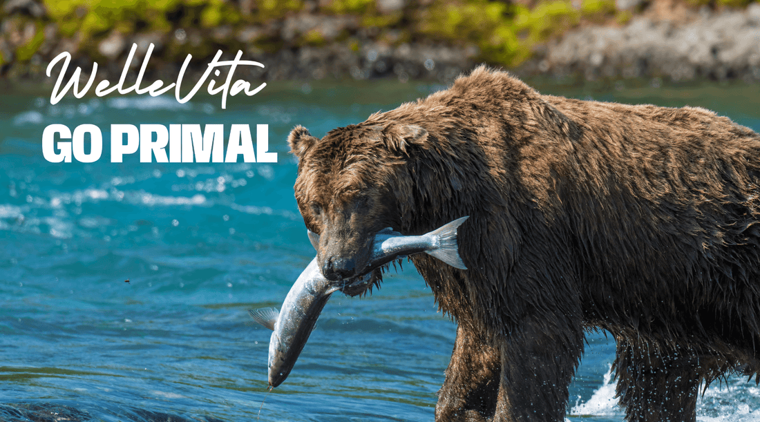 De 10 Beste Voedingsbronnen van Omega-3 Vetzuren voor Jouw Gezondheid - Welle Vita