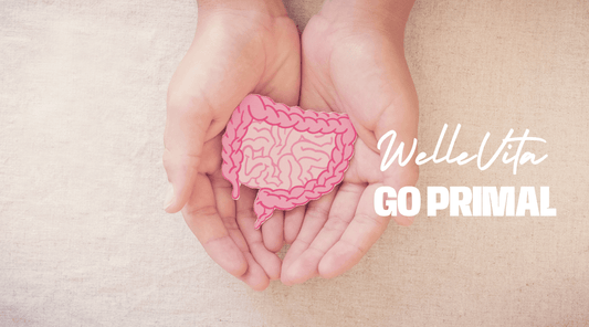 De Kracht van Probiotica in Je Dagelijkse Voeding | WelleVita | GoPrimal
