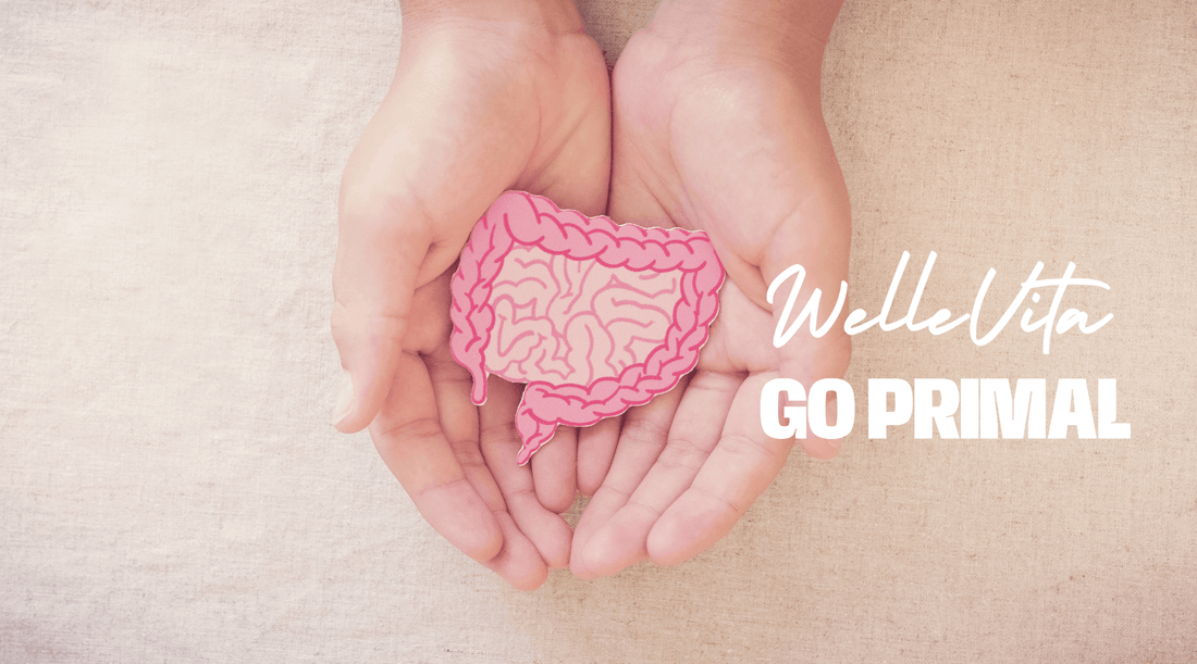 De Kracht van Probiotica in Je Dagelijkse Voeding - Welle Vita