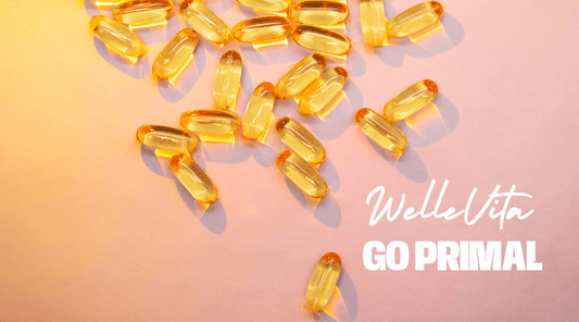 EPA vs DHA: Wat is het Verschil? Ontdek het Geheim Achter Omega-3 Vetzuren - Welle Vita