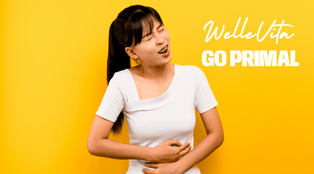 Gezonde Darmflora Dankzij Probiotica: De Sleutel Tot Een Sterker Immuunsysteem - Welle Vita