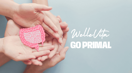 Hoe Onze GutBiotic Probiotic Creamer Je Darmgezondheid Ondersteunt