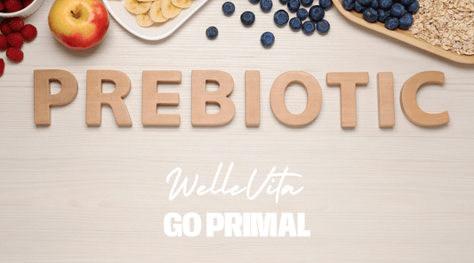 Ondersteun Gezonde Darmbacteriën met Prebiotica: Voordelen, Feiten en Tips - Welle Vita