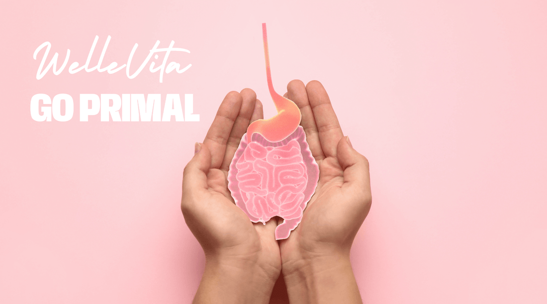 Wat Zit er in de Pro en Prebiotisch Creamer Gutbiotic in 2025? Ontdek de Krachtige Actieve Ingrediënten - Welle Vita