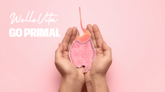 Wat Zit er in de Pro en Prebiotisch Creamer Gutbiotic in 2025? Ontdek de Krachtige Actieve Ingrediënten - Welle Vita