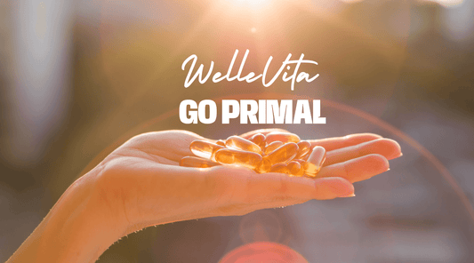 Top 12 Omega 3 Supplementen voor Optimale Gezondheid | WelleVita | GoPrimal