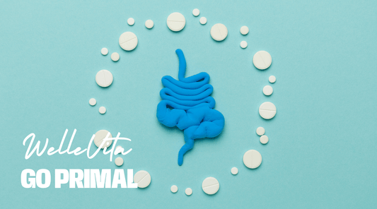 Waar Koop Je de Beste Pro en Prebiotisch Creamer Gutbiotic in 2025? - Welle Vita