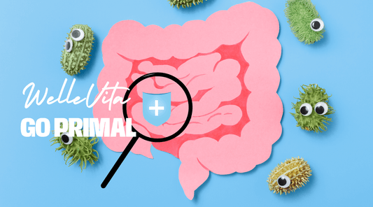 Waar Koop Je de Beste Probiotica voor Vrouwen?