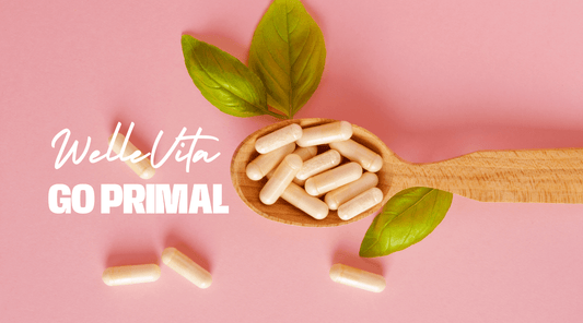 Wat maakt de WelleVita Longevity Multivitamine anders dan andere multivitamine supplementen