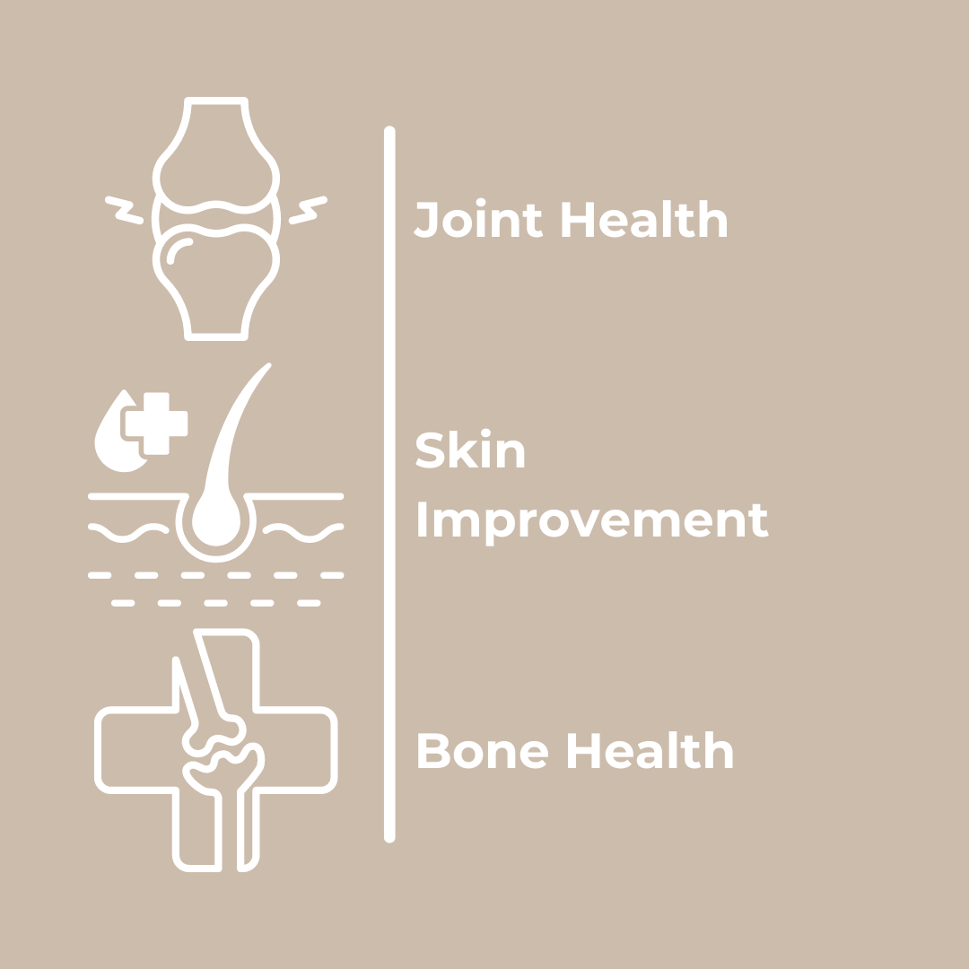 WelleVita Collagen Peptides with Vitamin C