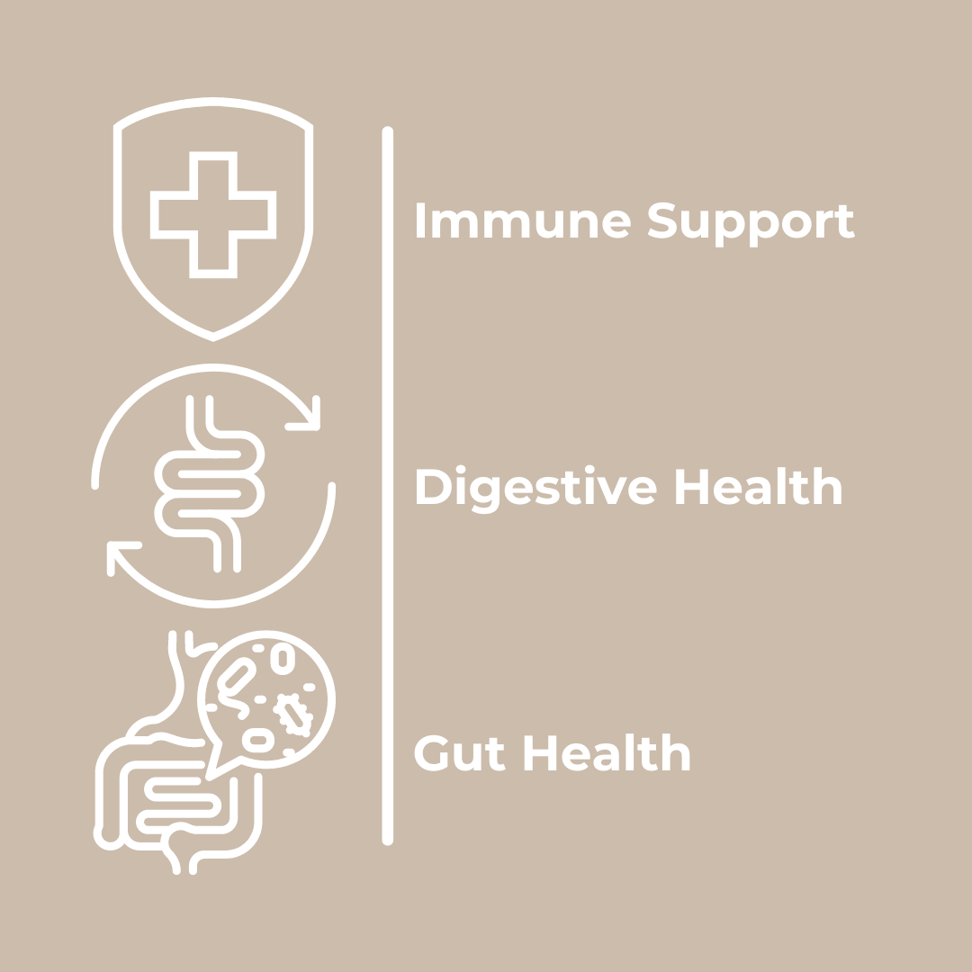 Pro and Prebiotic Creamer Gutbiotic