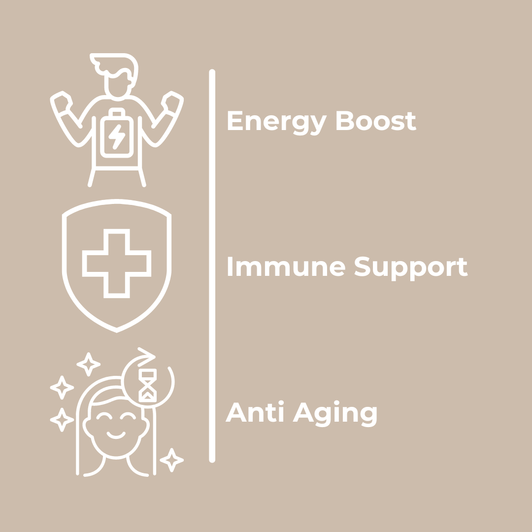 Vitassist Longevity Multivitamin